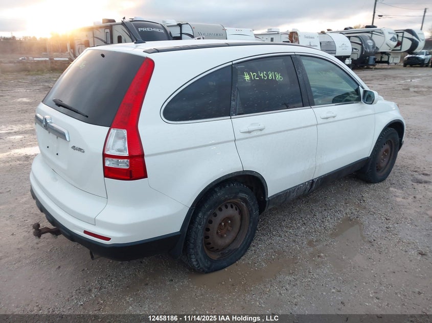 5J6RE4H51AL816273 2010 HONDA CR-V photo no. 5