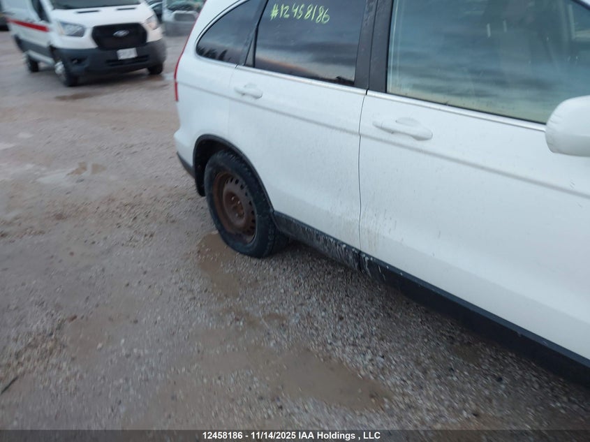 2010 Honda Cr-V Ex VIN: 5J6RE4H51AL816273 Lot: 12458186