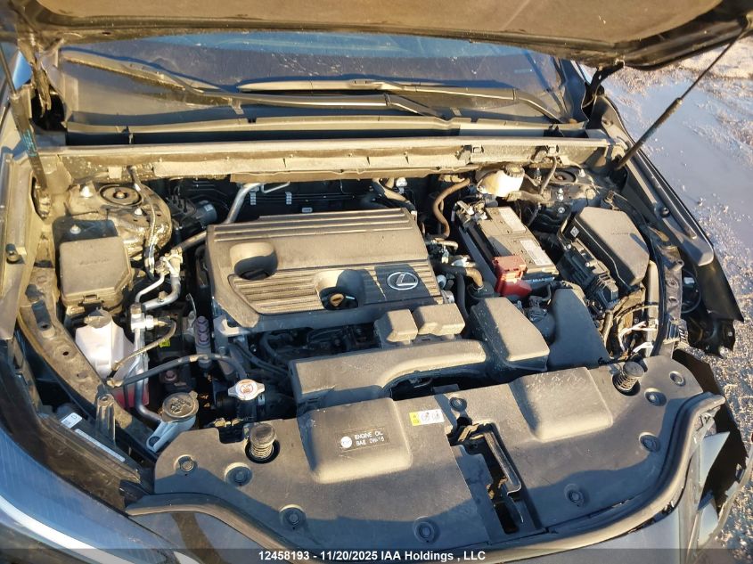 2023 Lexus Nx 250 VIN: 2T2ADCEZ2PC004015 Lot: 12458193