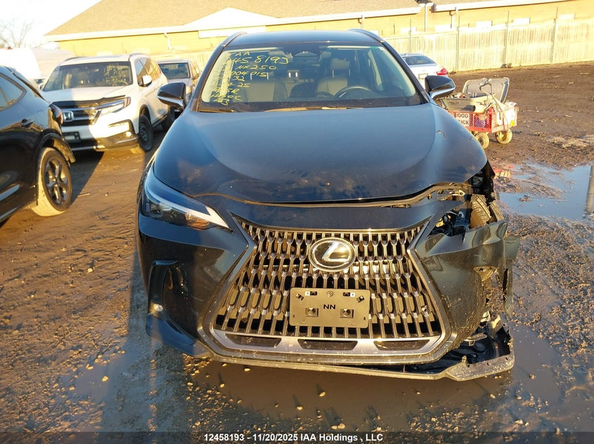 2023 Lexus Nx 250 VIN: 2T2ADCEZ2PC004015 Lot: 12458193