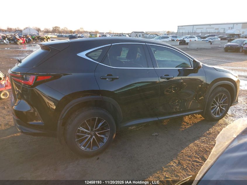 2023 Lexus Nx 250 VIN: 2T2ADCEZ2PC004015 Lot: 12458193