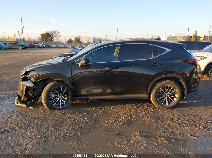 2023 Lexus Nx 250 VIN: 2T2ADCEZ2PC004015 Lot: 12458193