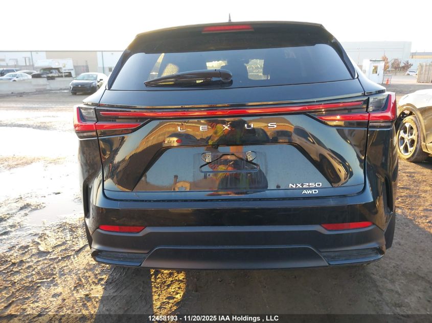2023 Lexus Nx 250 VIN: 2T2ADCEZ2PC004015 Lot: 12458193