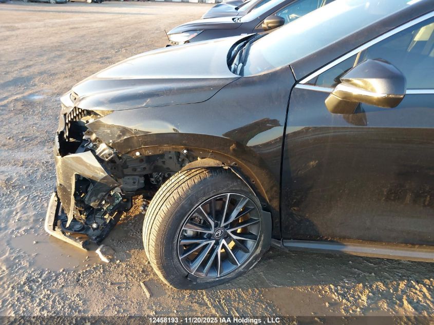 2023 Lexus Nx 250 VIN: 2T2ADCEZ2PC004015 Lot: 12458193