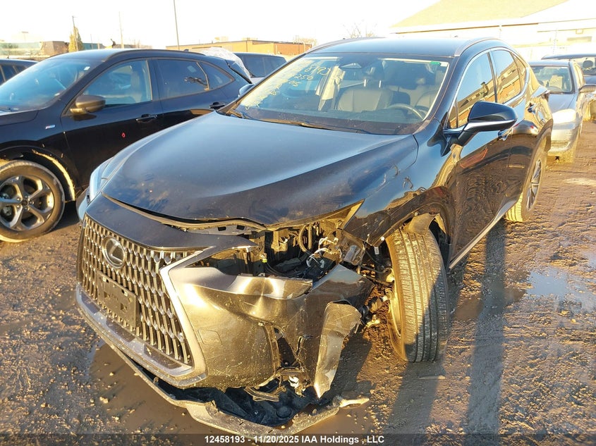 2T2ADCEZ2PC004015 2023 LEXUS NX photo no. 2
