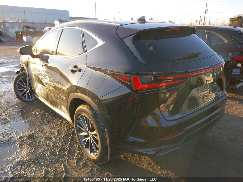2T2ADCEZ2PC004015 2023 LEXUS NX photo no. 3