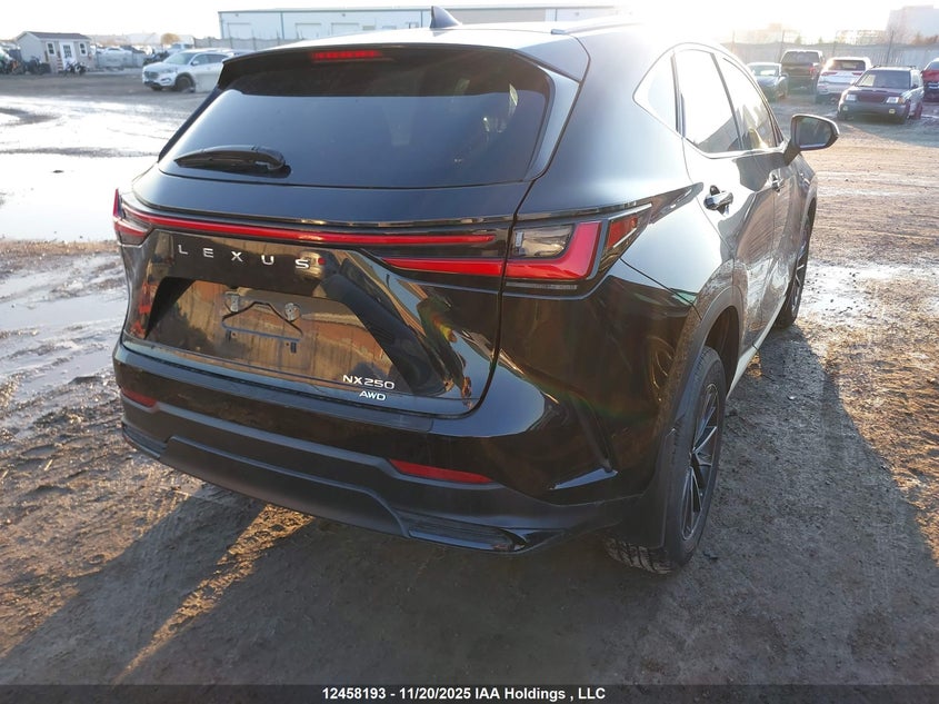 2T2ADCEZ2PC004015 2023 LEXUS NX photo no. 4