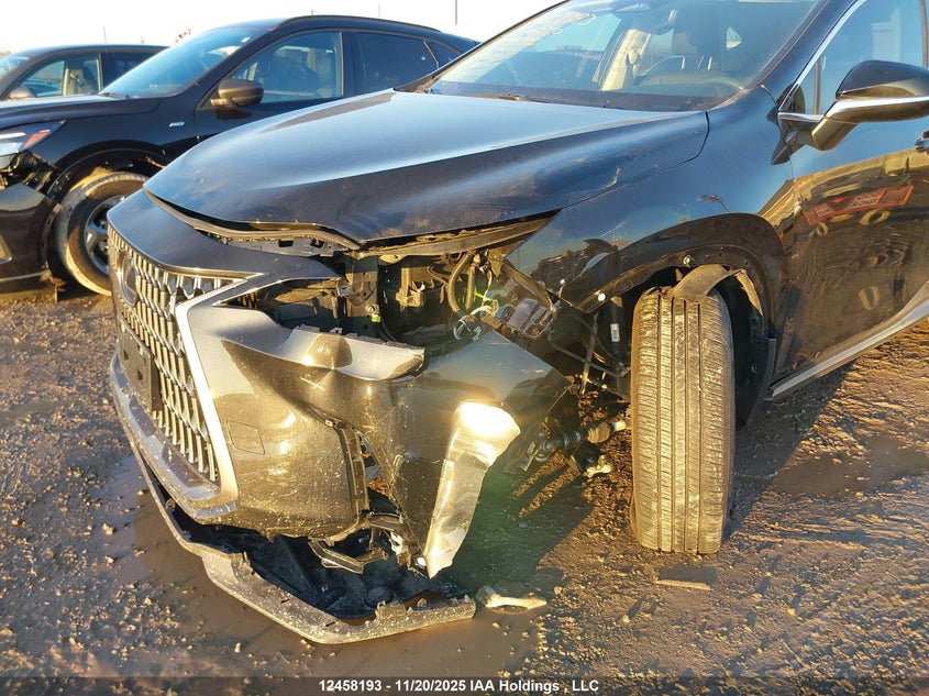 2023 Lexus Nx 250 VIN: 2T2ADCEZ2PC004015 Lot: 12458193