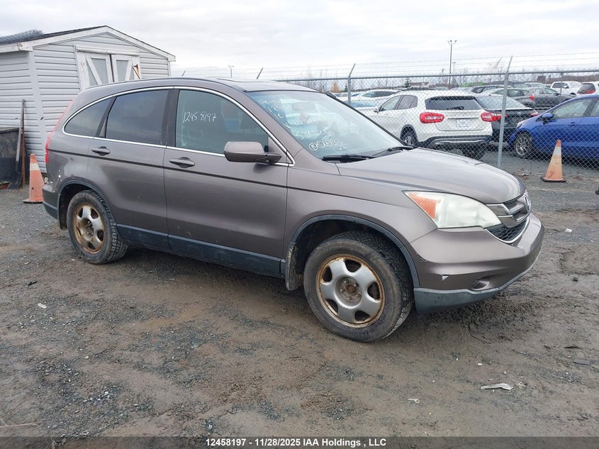 5J6RE4H59AL812973 2010 Honda Cr-V Ex auction photo 1