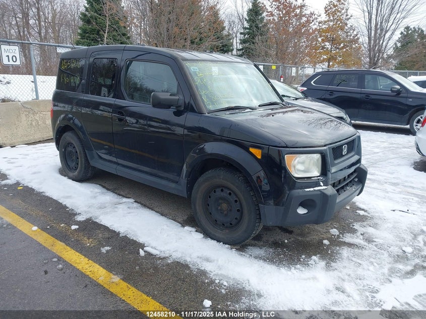 5J6YH28766L801008 2006 Honda Element Ex auction photo 1