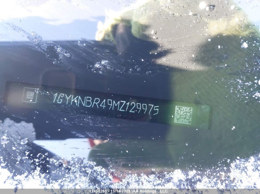 2021 Cadillac Xt5 Luxury VIN: 1GYKNBR49MZ129975 Lot: 12458265