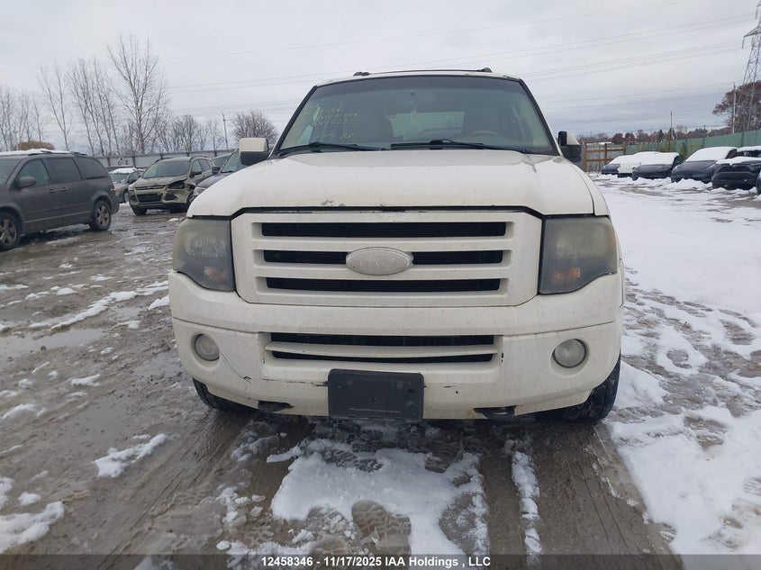 2007 Ford Expedition Limited VIN: 1FMFU205X7LA44923 Lot: 12458346