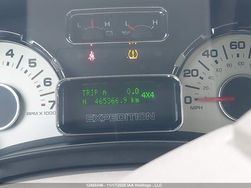 2007 Ford Expedition Limited VIN: 1FMFU205X7LA44923 Lot: 12458346