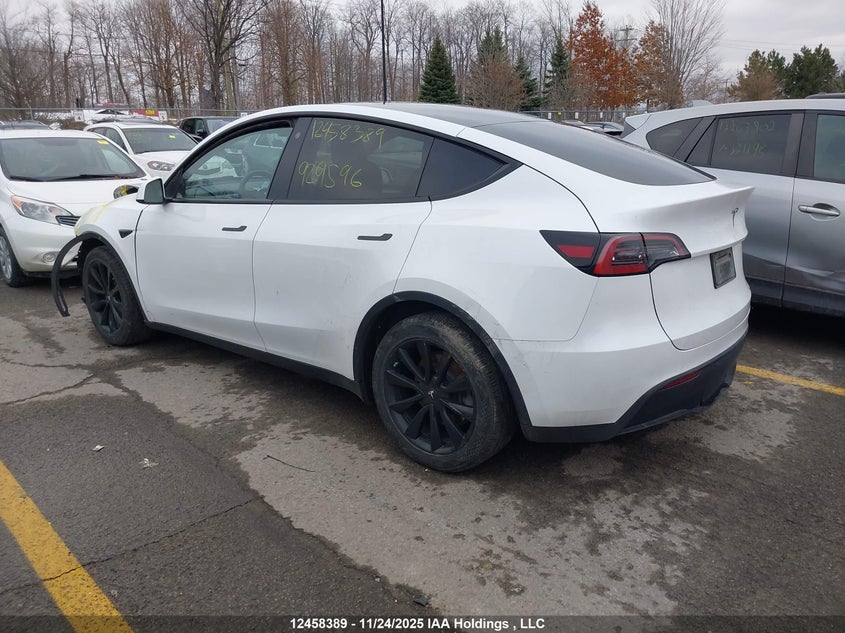 LRWYGDFD4PC929596 2023 TESLA MODEL Y photo no. 3