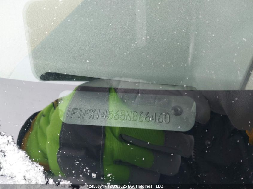 2005 Ford F-150 Lariat VIN: 1FTPX14565NB66460 Lot: 12458871