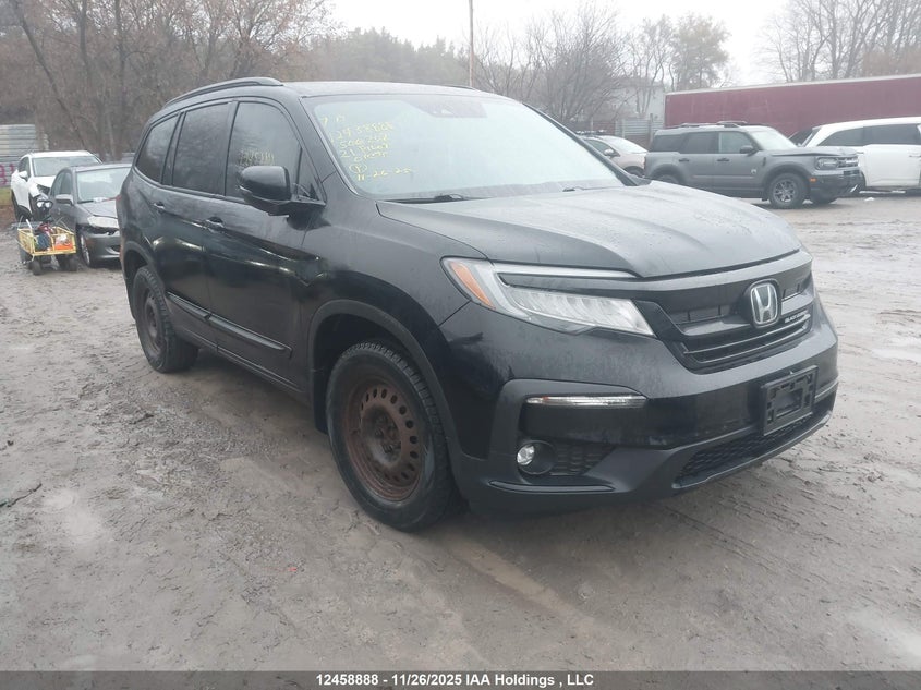 5FNYF6H09MB506202 2021 Honda Pilot Black Edition auction photo 1