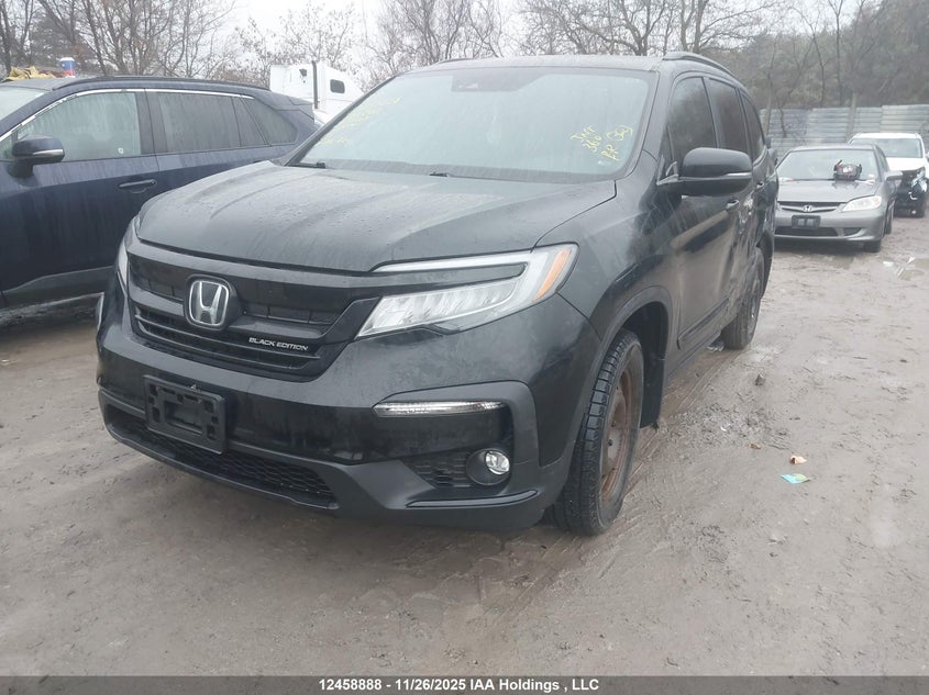 5FNYF6H09MB506202 2021 HONDA PILOT photo no. 2
