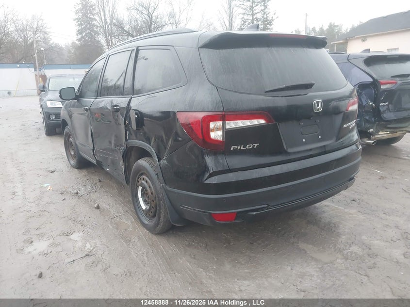 5FNYF6H09MB506202 2021 HONDA PILOT photo no. 3