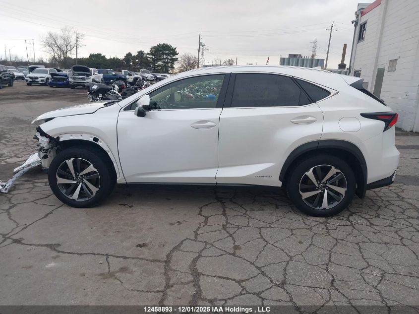 2018 Lexus Nx 300H VIN: JTJBJRBZ8J2088689 Lot: 12458893