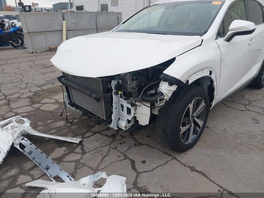 2018 Lexus Nx 300H VIN: JTJBJRBZ8J2088689 Lot: 12458893