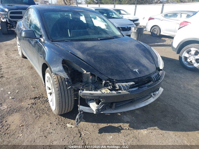 2022 Tesla Model 3 VIN: 5YJ3E1EB9NF278502 Lot: 12459153