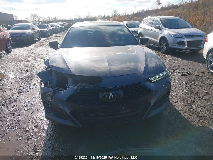 2021 Acura Tlx VIN: 19UUB6F55MA802661 Lot: 12459222