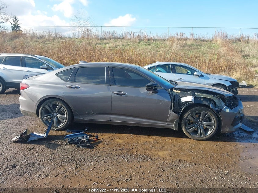 2021 Acura Tlx VIN: 19UUB6F55MA802661 Lot: 12459222
