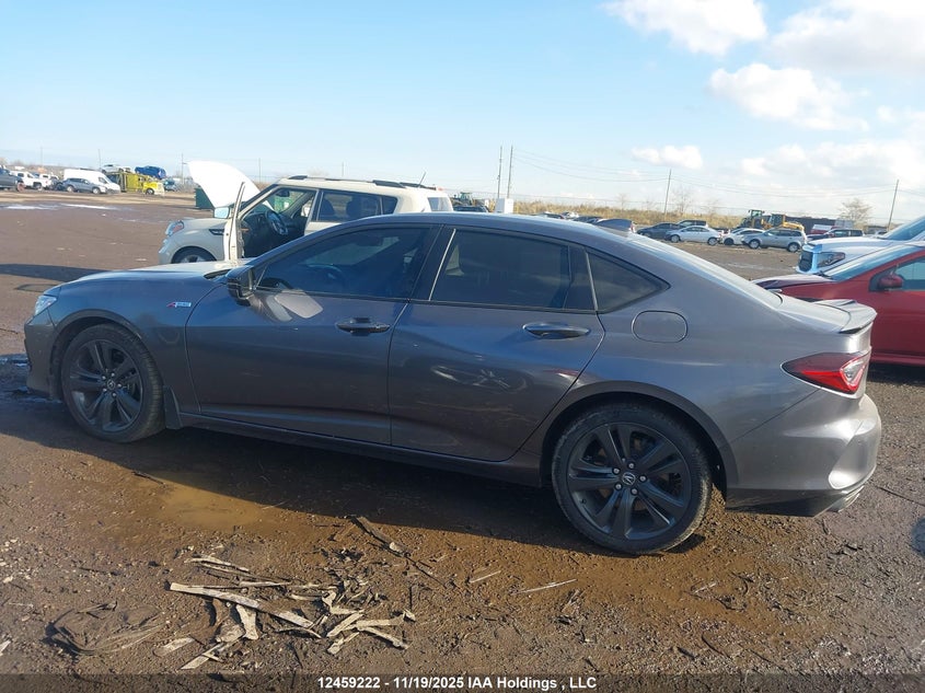 2021 Acura Tlx VIN: 19UUB6F55MA802661 Lot: 12459222