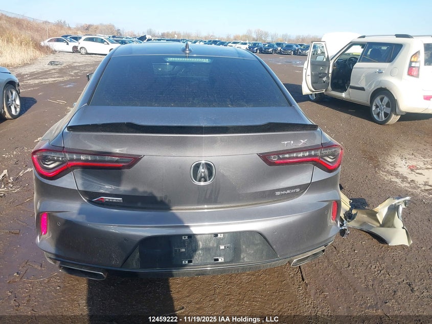 2021 Acura Tlx VIN: 19UUB6F55MA802661 Lot: 12459222
