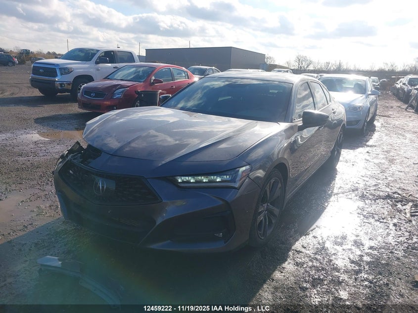 19UUB6F55MA802661 2021 ACURA TLX photo no. 2