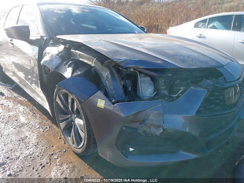 2021 Acura Tlx VIN: 19UUB6F55MA802661 Lot: 12459222