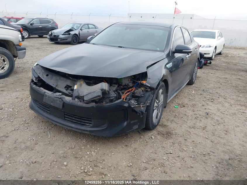 KNAGV4LD5H5018365 2017 KIA OPTIMA photo no. 2