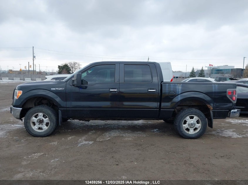 1FTFW1ET6DFC00417 2013 FORD F-150 photo no. 14