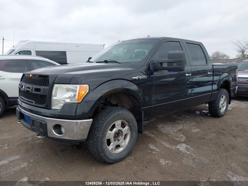 1FTFW1ET6DFC00417 2013 FORD F-150 photo no. 2
