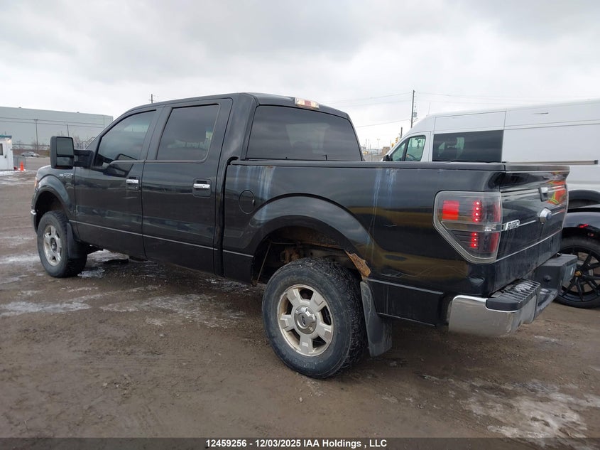 1FTFW1ET6DFC00417 2013 FORD F-150 photo no. 3