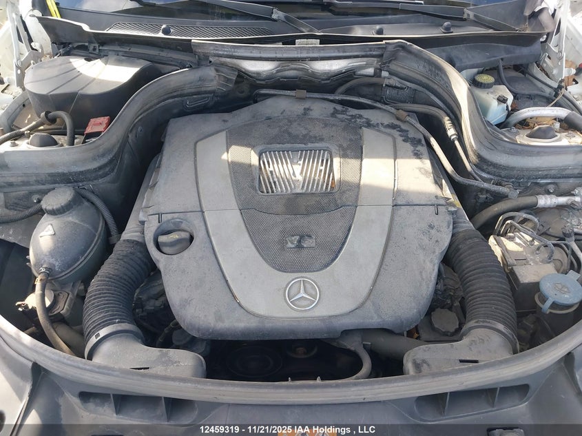 WDCGG8HB0AF488454 2010 MERCEDES-BENZ GLK-KLASSE photo no. 10
