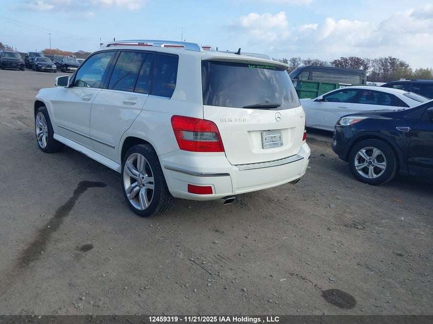 WDCGG8HB0AF488454 2010 MERCEDES-BENZ GLK-KLASSE photo no. 3