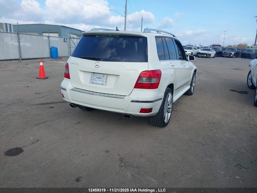 WDCGG8HB0AF488454 2010 MERCEDES-BENZ GLK-KLASSE photo no. 4