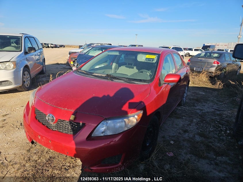 TOYOTA COROLLA S/LE/XLE