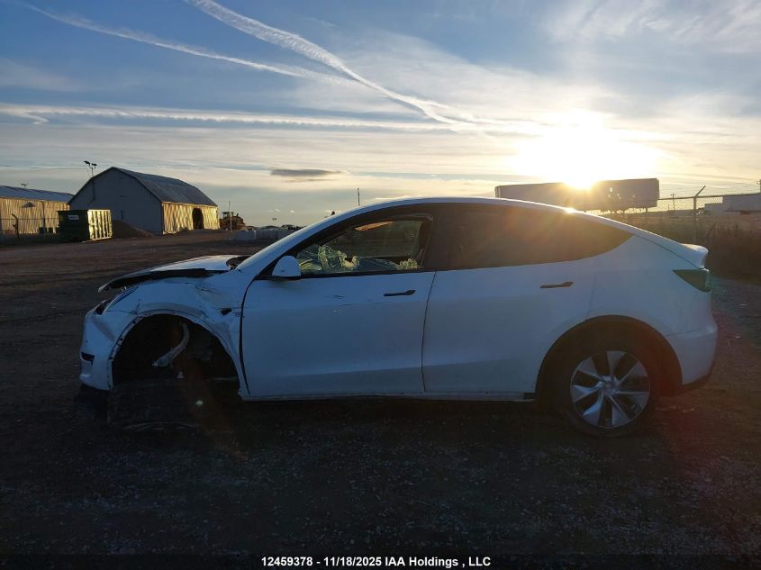 2022 Tesla Model Y VIN: 7SAYGDEE1NF504451 Lot: 12459378