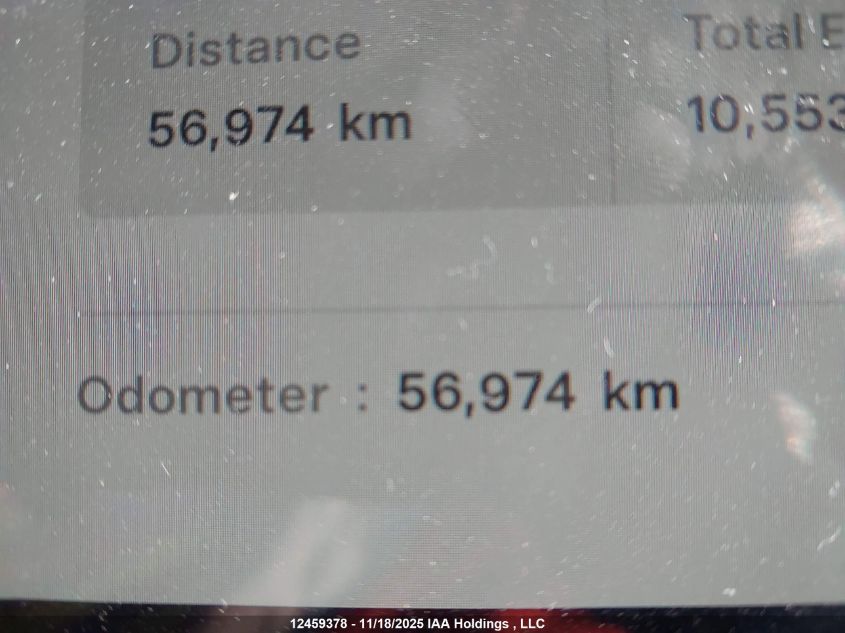 2022 Tesla Model Y VIN: 7SAYGDEE1NF504451 Lot: 12459378