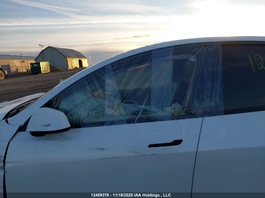 2022 Tesla Model Y VIN: 7SAYGDEE1NF504451 Lot: 12459378