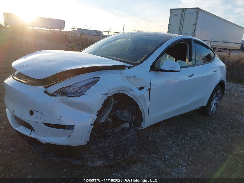 2022 Tesla Model Y VIN: 7SAYGDEE1NF504451 Lot: 12459378