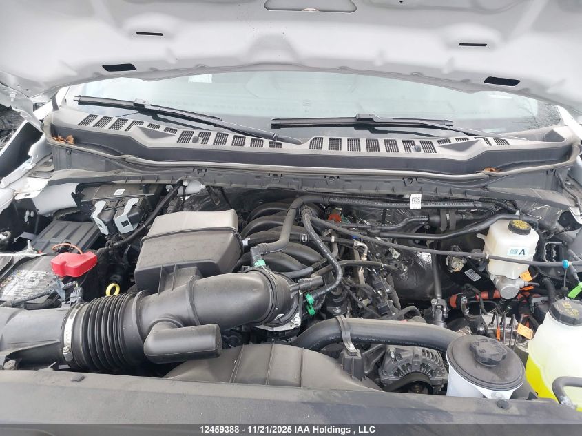 2025 Ford F250 Super Duty VIN: 1FT7W2BN8SEC74960 Lot: 12459388