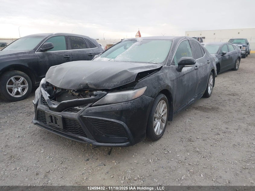 2023 Toyota Camry Se Night Shade/Se VIN: 4T1G11AK6PU147231 Lot: 12459432