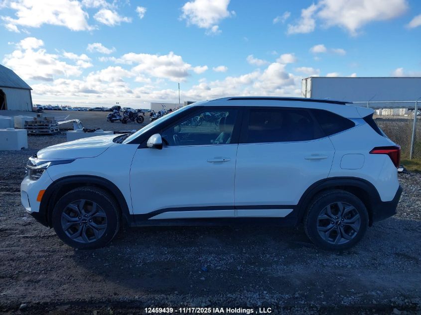 2024 Kia Seltos S VIN: KNDEUCAA9R7507650 Lot: 12459439