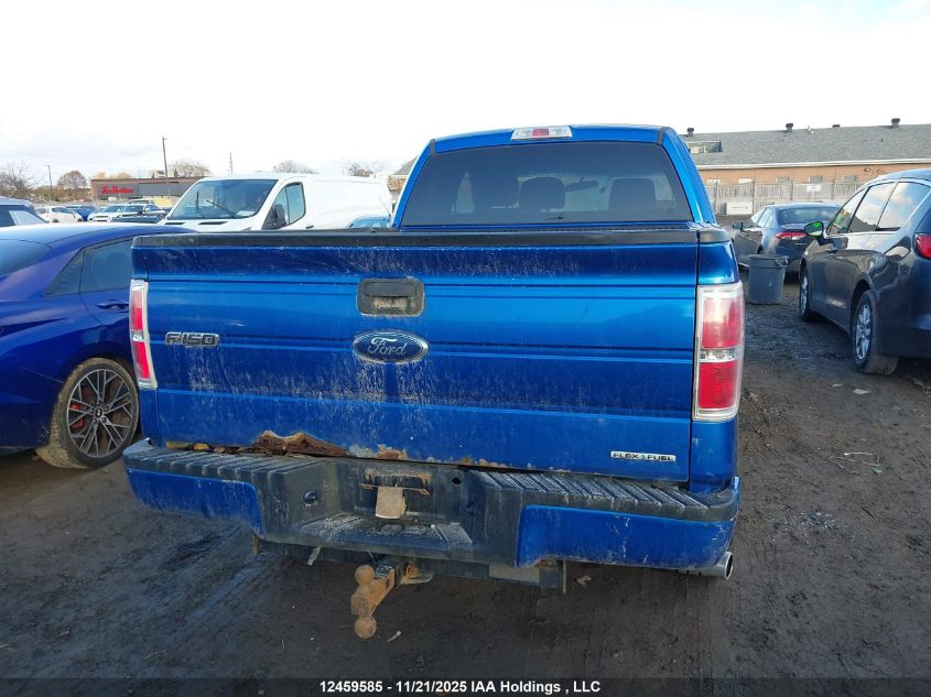 2011 Ford F-150 Xlt VIN: 1FTEX1CM7BFA15309 Lot: 12459585