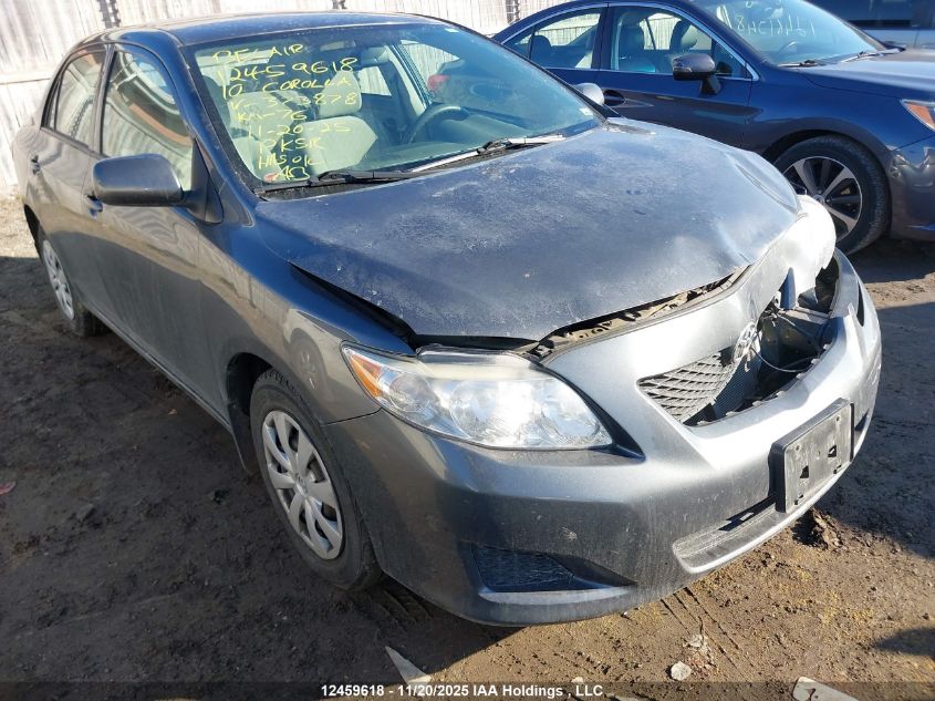 2010 Toyota Corolla VIN: 2T1BU4EE2AC373878 Lot: 12459618