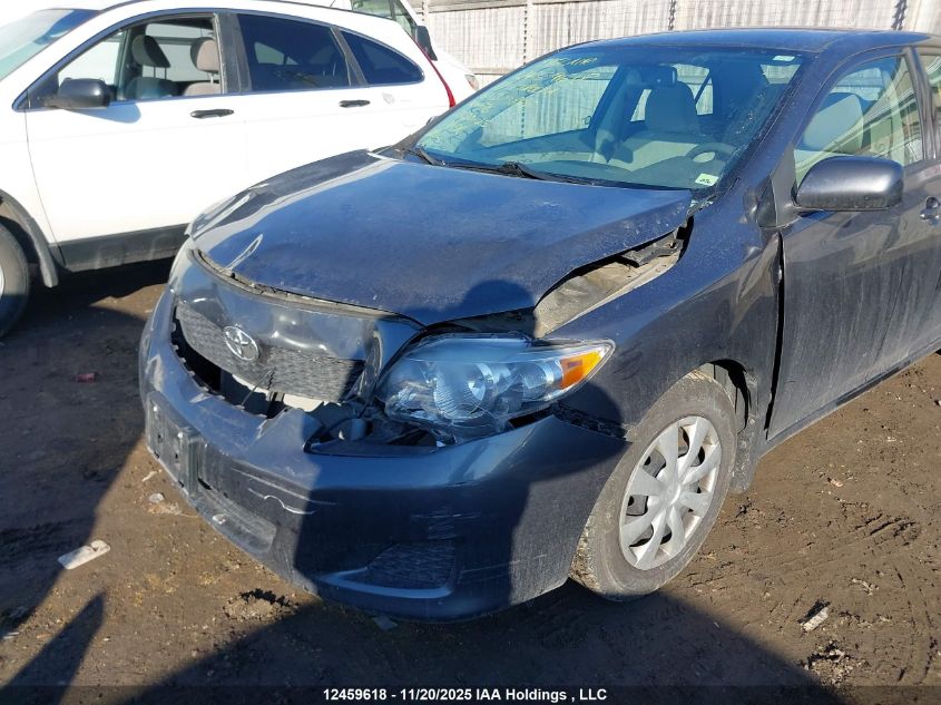 2010 Toyota Corolla VIN: 2T1BU4EE2AC373878 Lot: 12459618