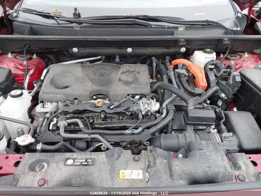 2024 Toyota Rav4 VIN: 2T3RWRFV6RW248596 Lot: 12459639